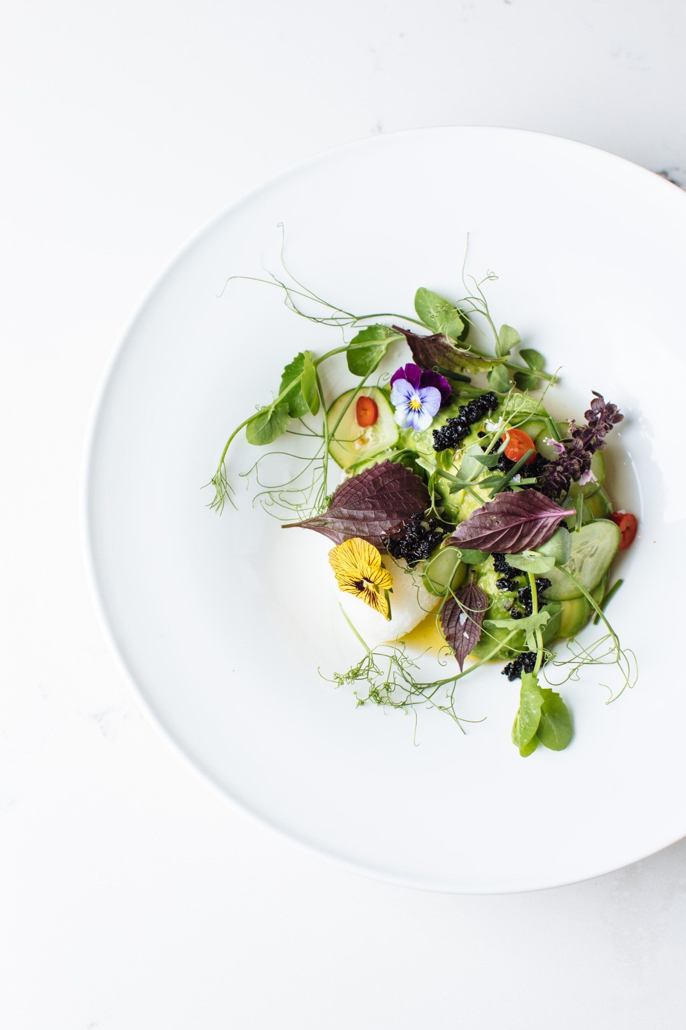 Fine dining dish with fresh microgreens and edible flowers in Malta